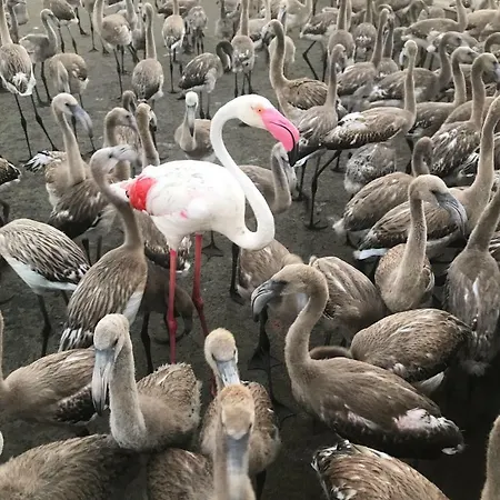 L' Espiga - Casa de Campo *