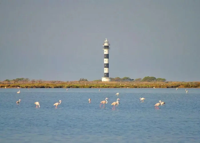 L' Espiga - Landsted Deltebre